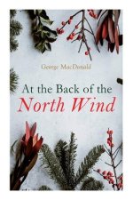 At the Back of the North Wind