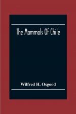 Mammals Of Chile