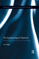 Epistemological Skyhook