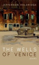 Wells of Venice