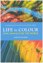 Life in Colour