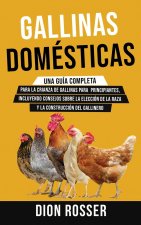 Gallinas domesticas