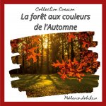 foret aux couleurs de l'Automne