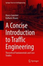 Concise Introduction to Traffic Engineering