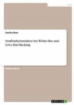Strafbarkeitsrisiken bei White-Hat und Grey-Hat-Hacking