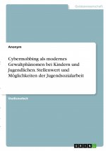 Cybermobbing als modernes Gewaltphänomen bei Kindern und Jugendlichen. Stellenwert und Möglichkeiten der Jugendsozialarbeit