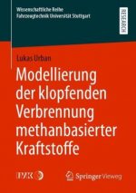 Modellierung Der Klopfenden Verbrennung Methanbasierter Kraftstoffe