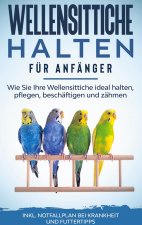 Wellensittiche halten fur Anfanger