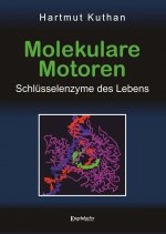 Molekulare Motoren