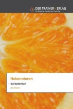 Nebennieren
