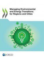 Managing environmental and energy transitions for regions and cities