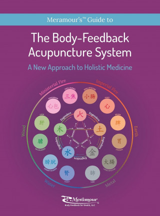 Body-Feedback Acupuncture System