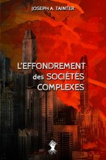 L'effondrement des societes complexes