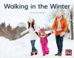 Walking in the Winter: Leveled Reader Green Non Fiction Level 14/15 Grade 1-2