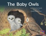 The Baby Owls: Leveled Reader Red Fiction Level 4 Grade 1