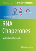 RNA Chaperones