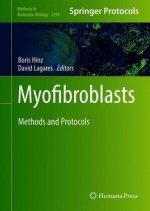 Myofibroblasts