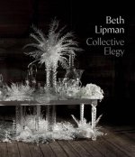 BETH LIPMAN COLLECTIVE ELEGY