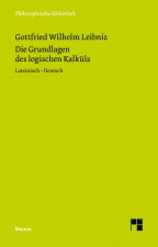 Die Grundlagen des logischen Kalkuls