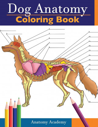 Dog Anatomy Coloring Book