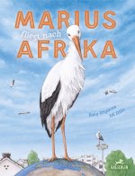 Marius fliegt nach Afrika