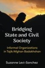 Bridging State and Civil Society
