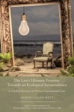 Law's Last Global Frontier