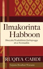 Ilmakorinta Habboon