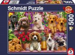 Hunde im Regal Puzzle 500 Teile