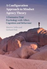 Configuration Approach to Mindset Agency Theory