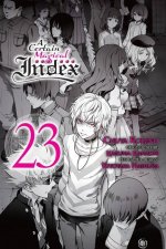 Certain Magical Index, Vol. 23