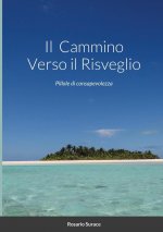 Cammino Verso il Risveglio