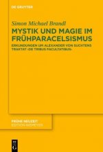 Mystik Und Magie Im Fruhparacelsismus