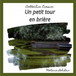 petit tour en briere