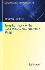 Turnpike Theory for the Robinson-Solow-Srinivasan Model