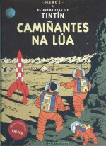 Camiñantes na Lúa