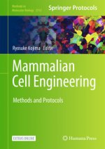 Mammalian Cell Engineering