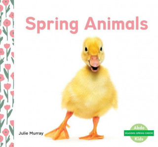 Spring Animals