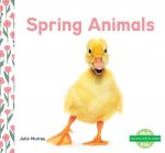 Spring Animals
