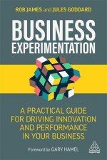 Business Experimentation