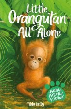 Baby Animal Friends: Little Orangutan All Alone