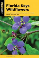 Wildflowers of the Florida Keys