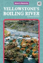 Yellowstone's Boiling River