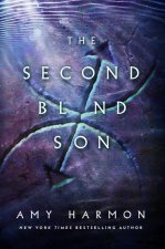Second Blind Son