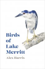 Birds of Lake Merritt