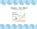 Dunes - Are Alive!