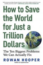How to Save the World for Just a Trillion Dollars: The Ten Biggest Problems We Can Actually Fix