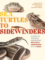 Sea Turtles to Sidewinders a Guide to the Most Fascinating Reptiles and Amphibians of the West