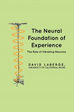 The Neural Foundation of Experience