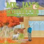 Mr. Jay's Mysterious Evening at the School